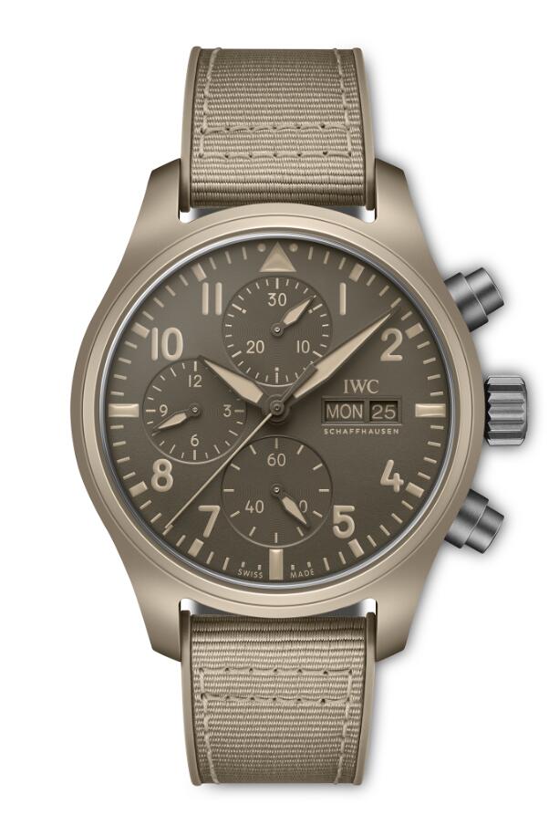 Fake IWC